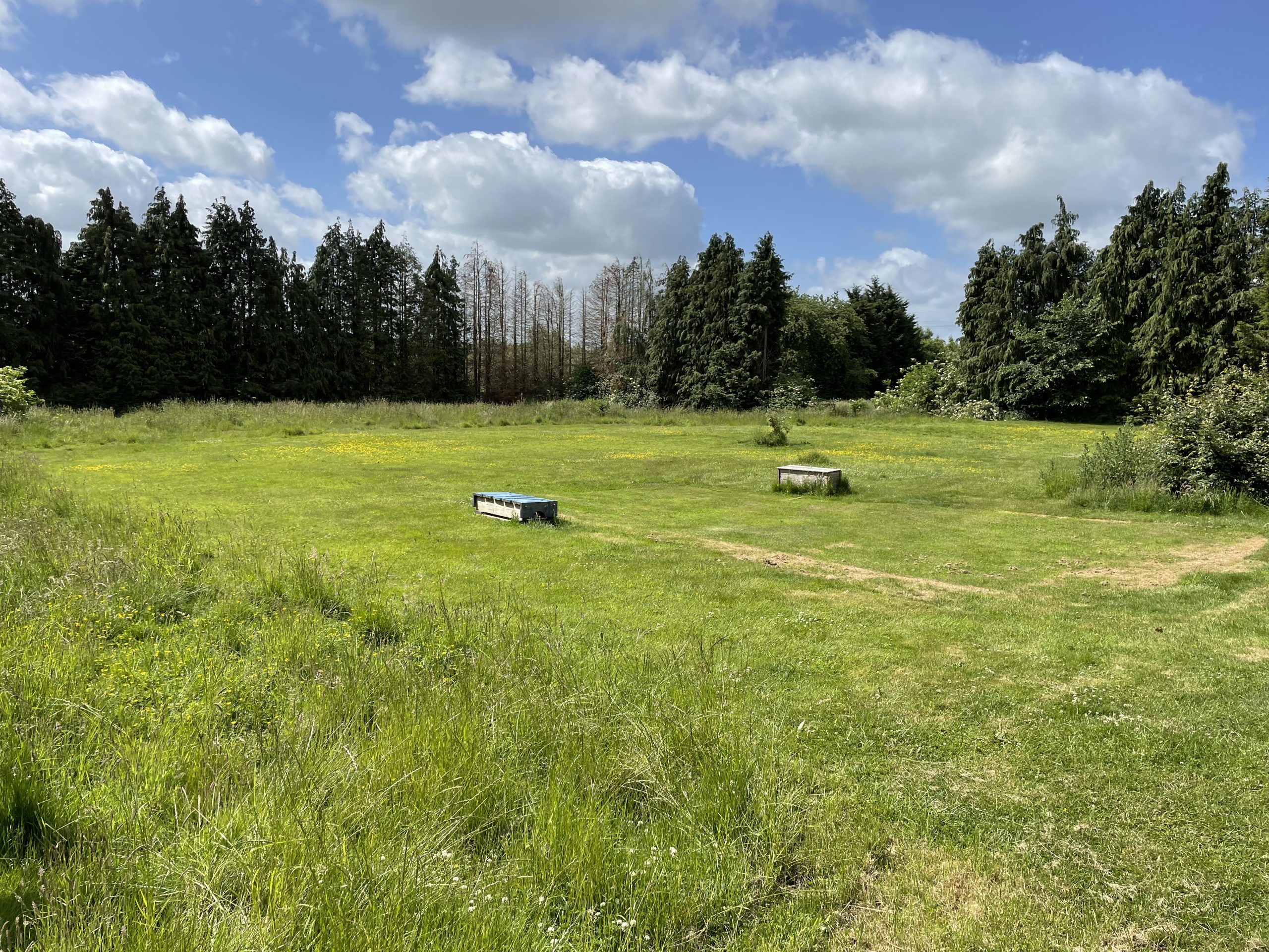 6 Land South of The Mellows